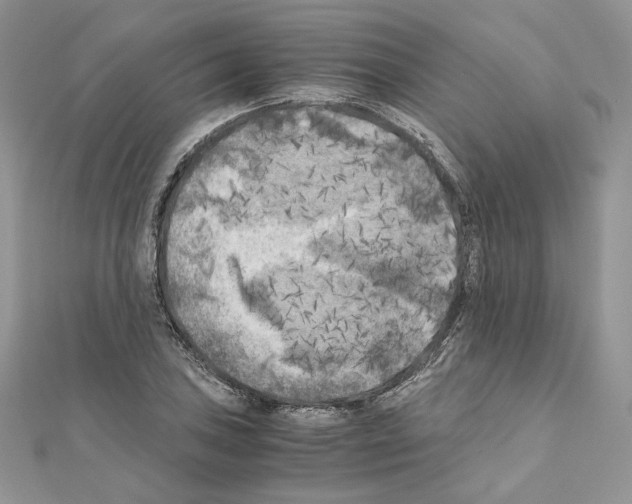 X0000111011027200907311047