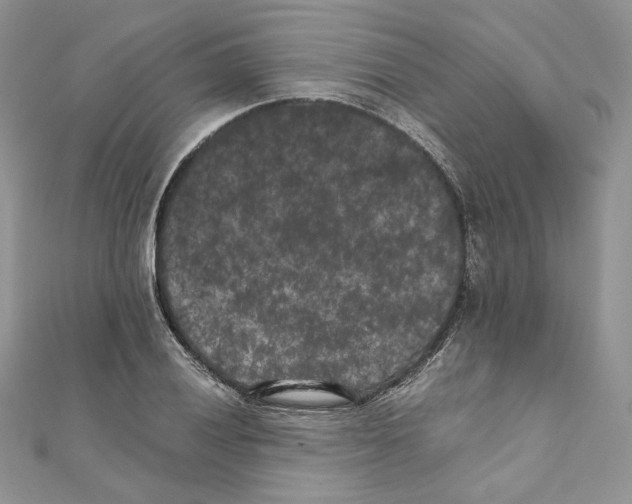 X0000111011028200907311047