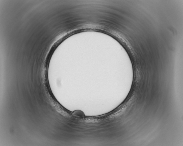 X0000111011029200907311047