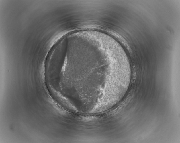 X0000111011031200907311047