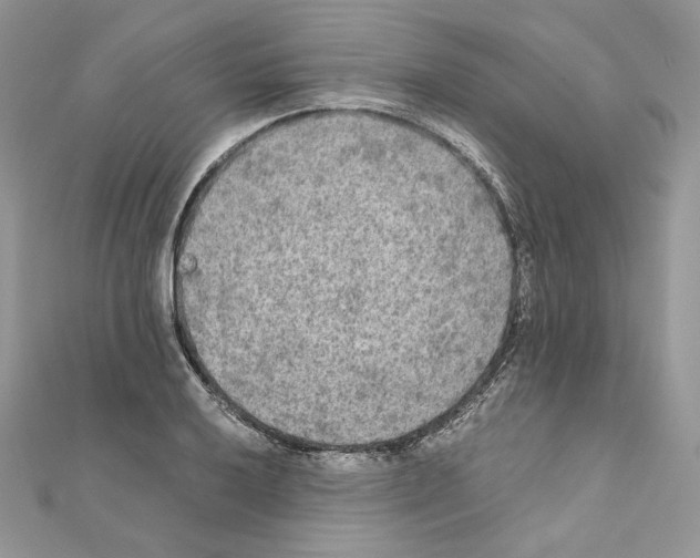 X0000111011032200907311047