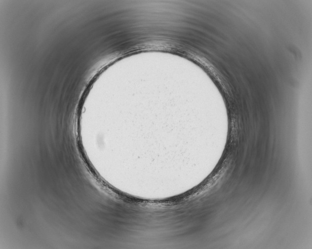X0000111011034200907311047