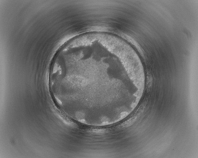 X0000111011035200907311047