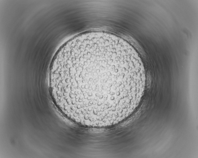 X0000111011036200907311047