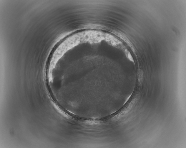 X0000111011037200907311047