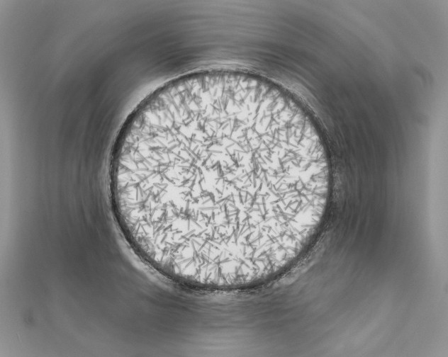 X0000111011038200907311047