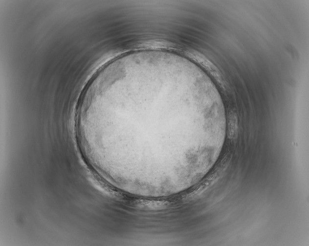 X0000111011039200907311047