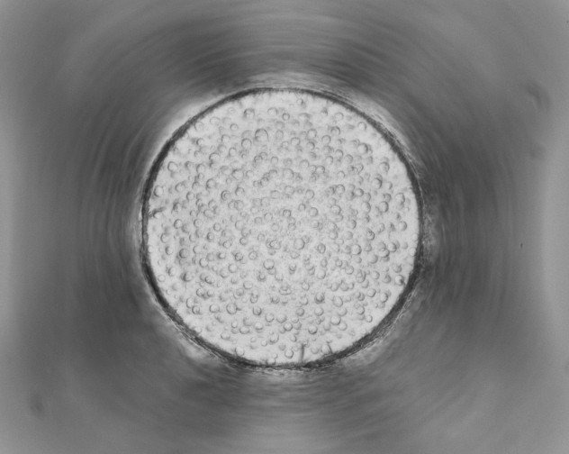 X0000111011040200907311047