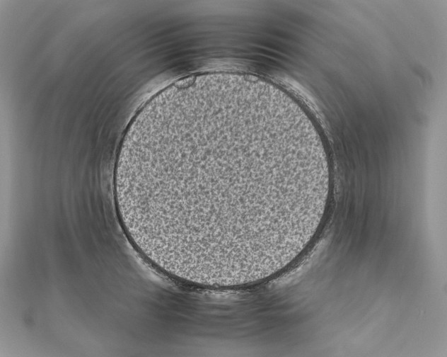 X0000111011041200907311047