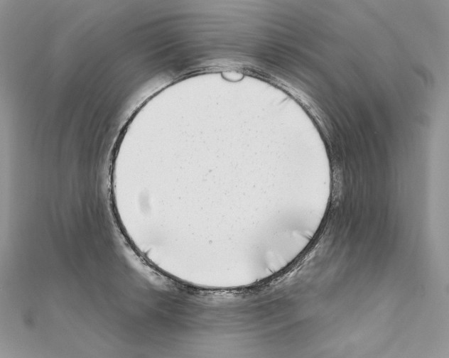 X0000111011042200907311047