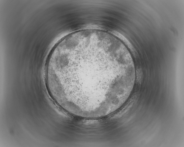 X0000111011043200907311047