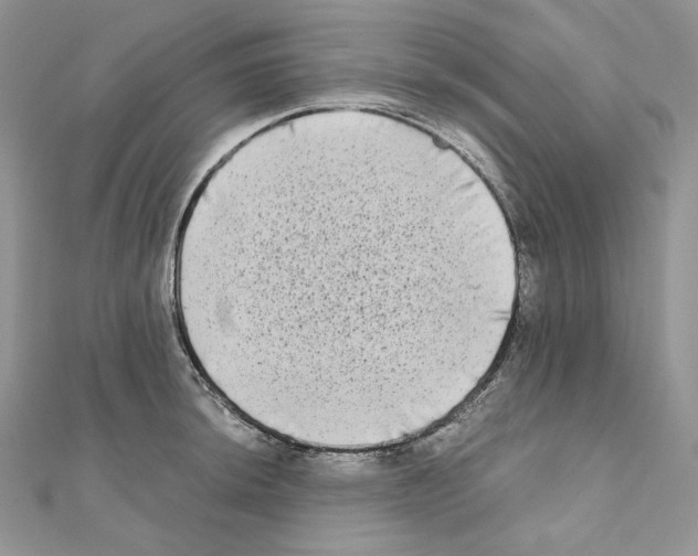 X0000111011044200907311047