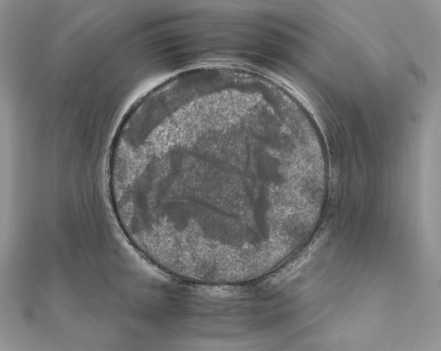 X0000111011045200907311047