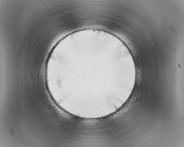 X0000111011046200907311047