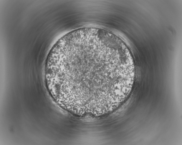 X0000111011048200907311047