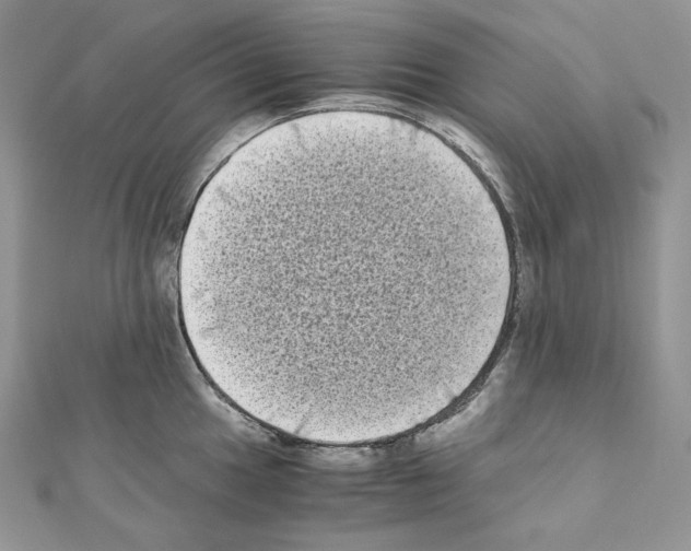 X0000111011049200907311047