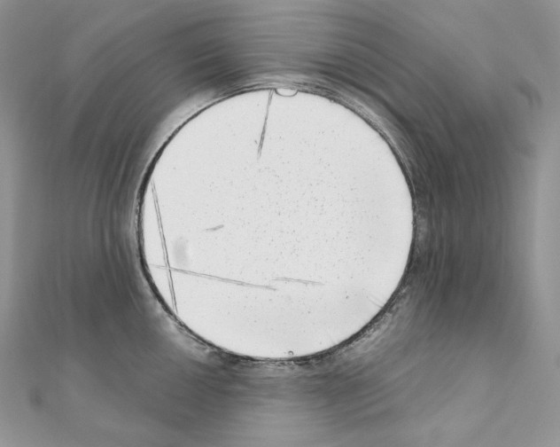 X0000111011050200907311047