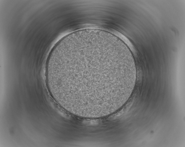 X0000111011051200907311047