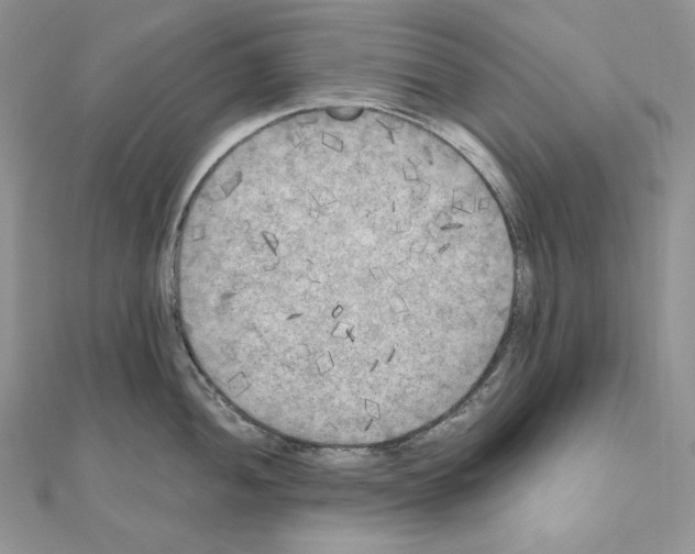 X0000111011052200907311047