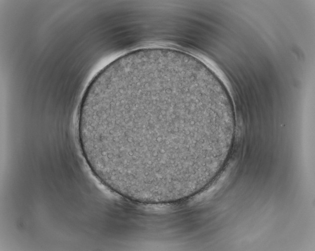 X0000111011053200907311047