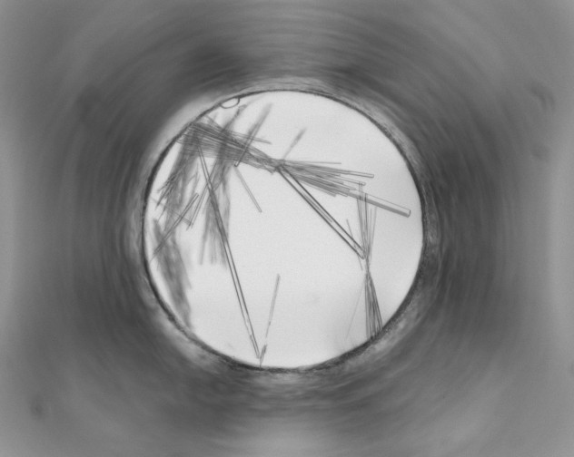 X0000111011054200907311047