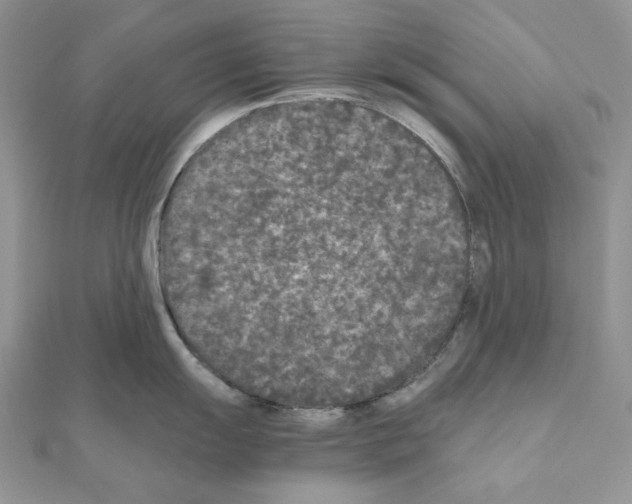 X0000111011055200907311047