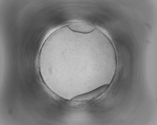 X0000111011056200907311047