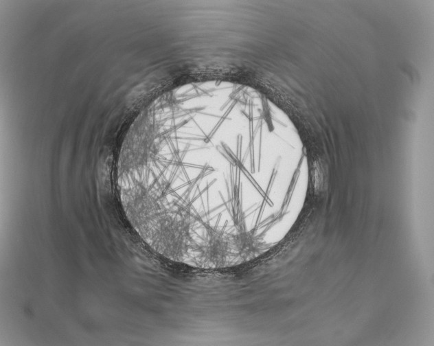 X0000111011059200907311047