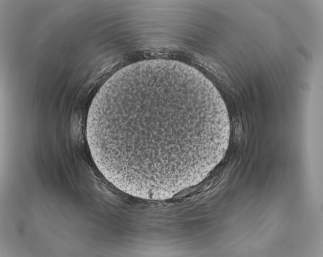 X0000111011060200907311047