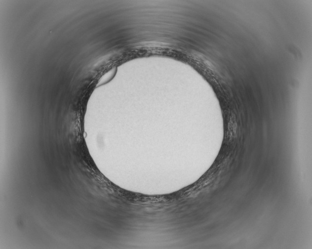 X0000111011062200907311047