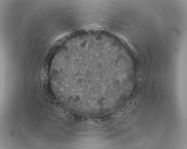X0000111011063200907311047