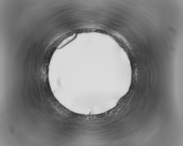 X0000111011064200907311047