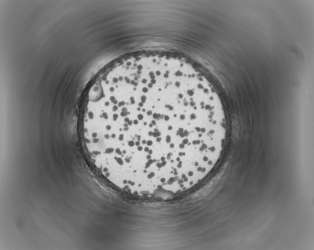 X0000111011066200907311047