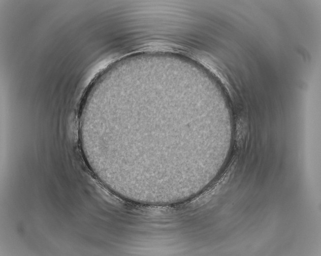 X0000111011067200907311047