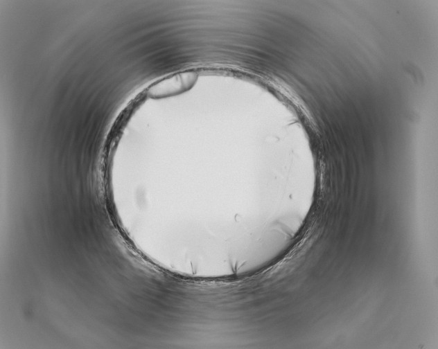 X0000111011068200907311047