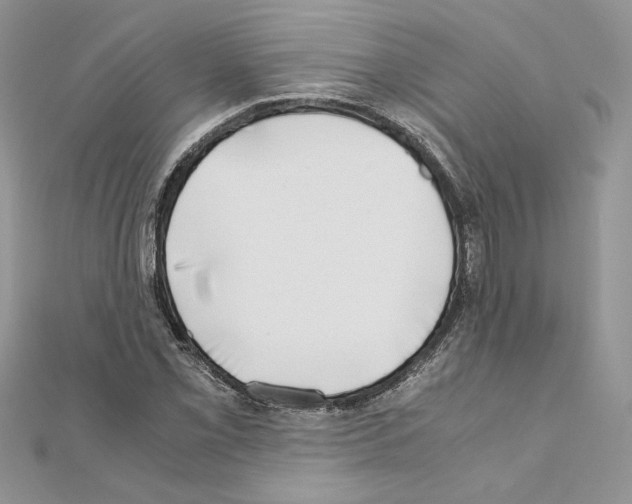 X0000111011069200907311047