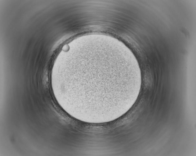X0000111011070200907311047