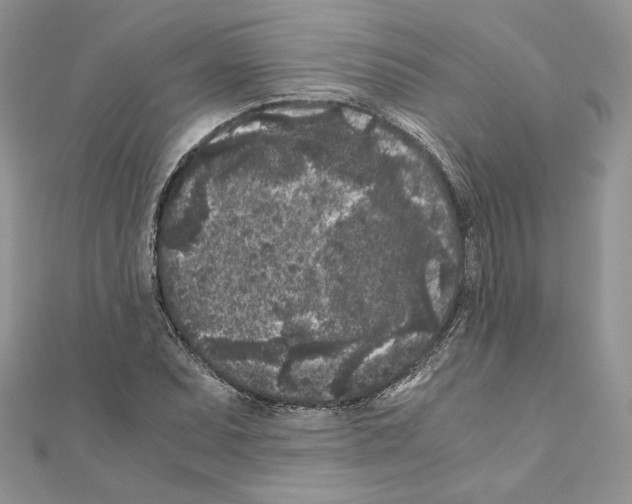 X0000111011071200907311047
