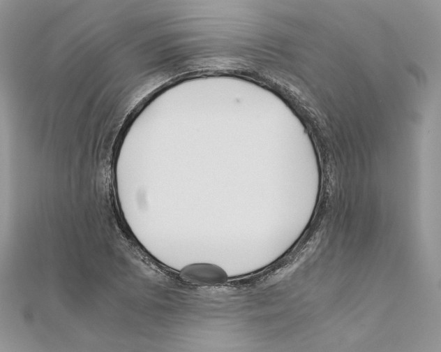 X0000111011073200907311047