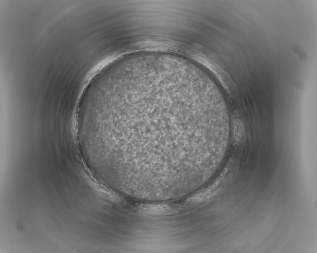 X0000111011074200907311047