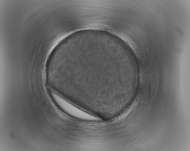 X0000111011077200907311047