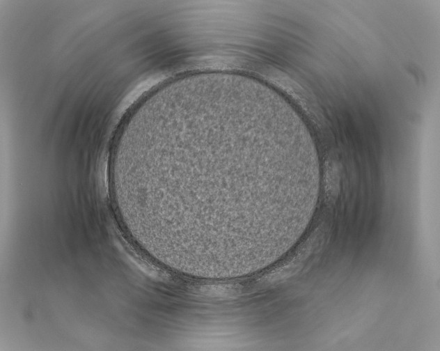 X0000111011078200907311047