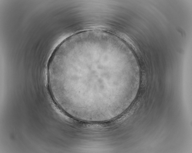 X0000111011079200907311047