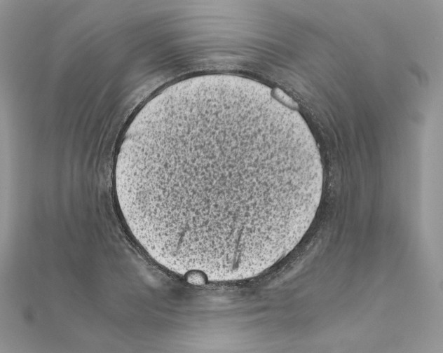X0000111011081200907311047