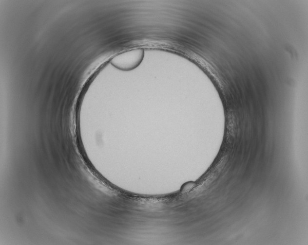 X0000111011082200907311047