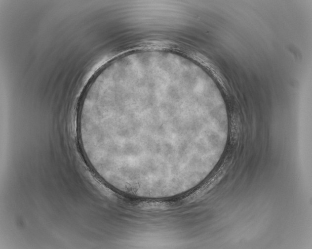 X0000111011083200907311047