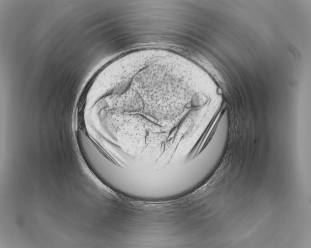 X0000111011084200907311047