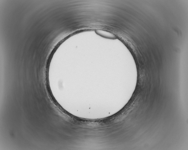 X0000111011085200907311047
