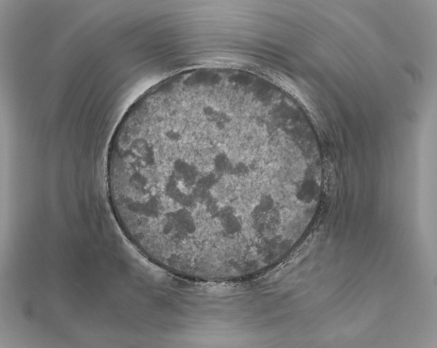 X0000111011087200907311046