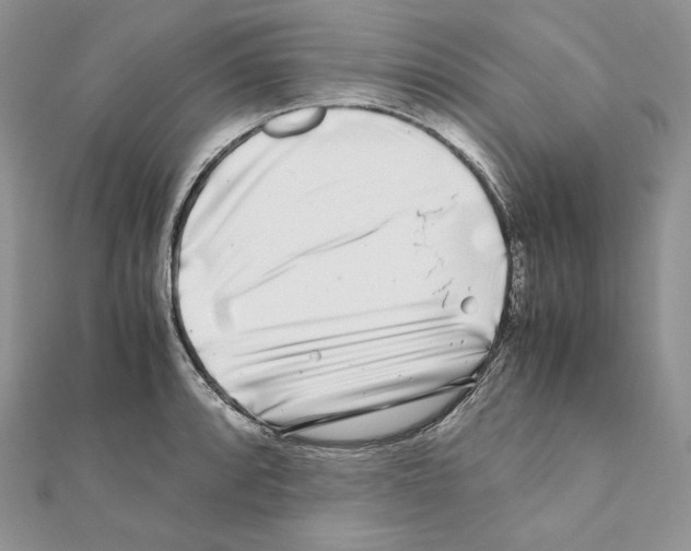 X0000111011088200907311046